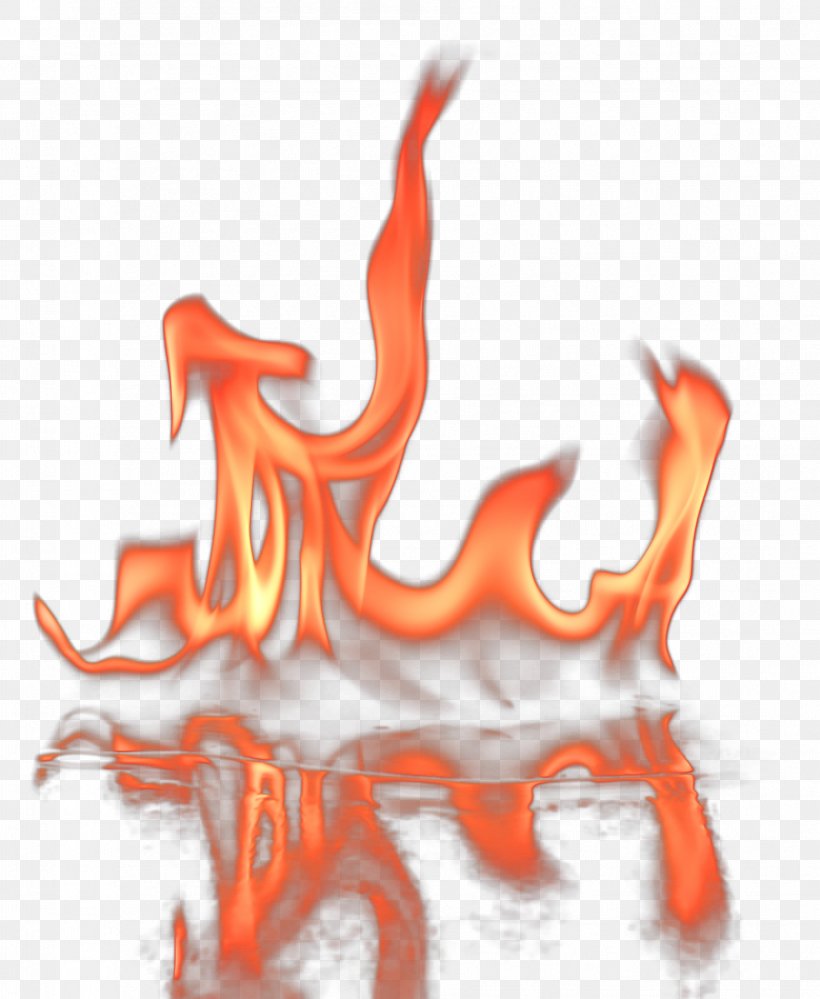 Flame Light Fire, PNG, 1812x2208px, Flame, Art, Fire, Google Images, Light Download Free