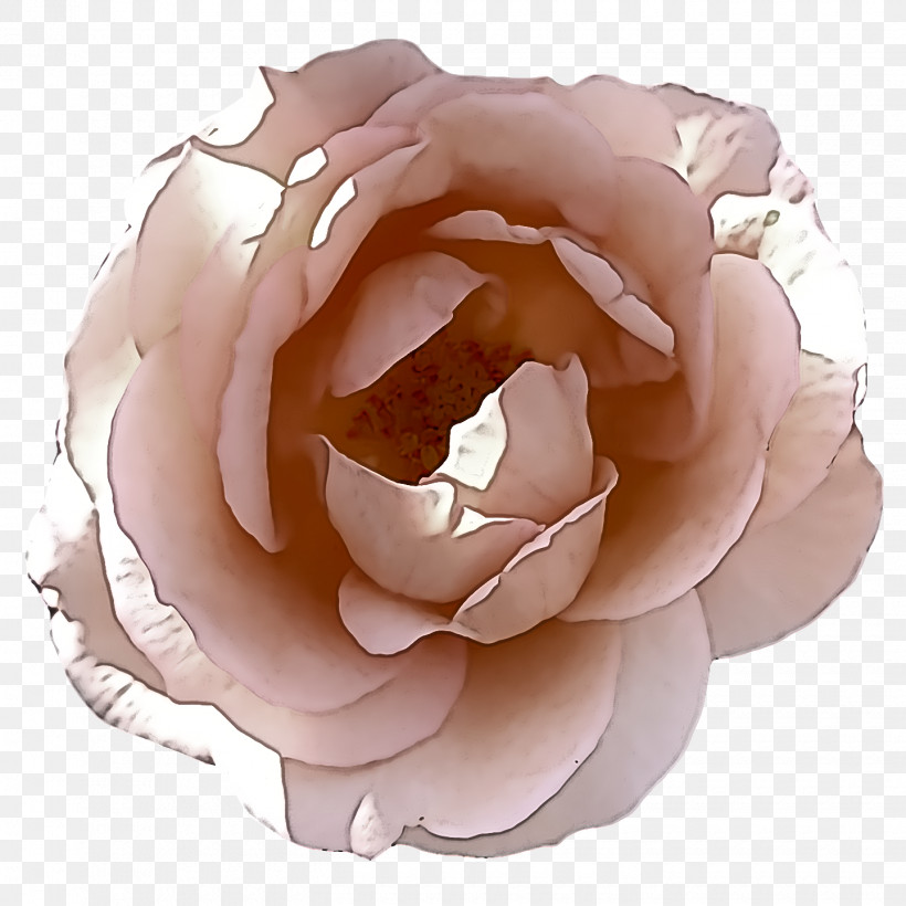 Garden Roses, PNG, 1440x1440px, Garden Roses, Artificial Flower, Cabbage Rose, Cut Flowers, Floral Design Download Free