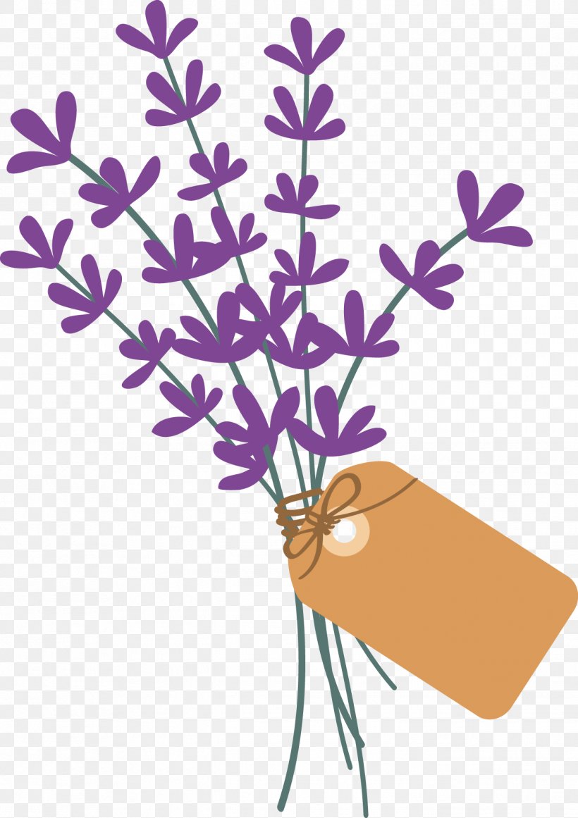 Lavender Plant Stem Violet Petal Lamiaceae, PNG, 1346x1906px, Lavender, Branch, Flora, Flower, Flowering Plant Download Free