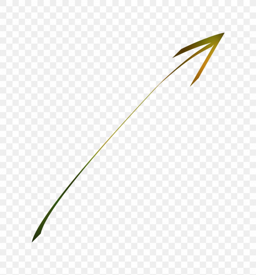 Leaf Line Angle Plant Stem Font, PNG, 1300x1400px, Leaf, Grass, Grass Family, Grasses, Plant Download Free