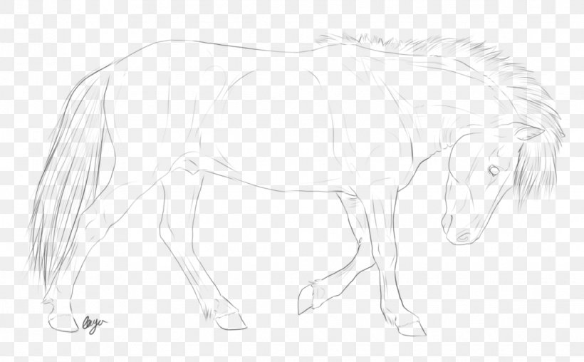 Mane Mustang Pack Animal Drawing Sketch, PNG, 1136x704px, Watercolor, Cartoon, Flower, Frame, Heart Download Free