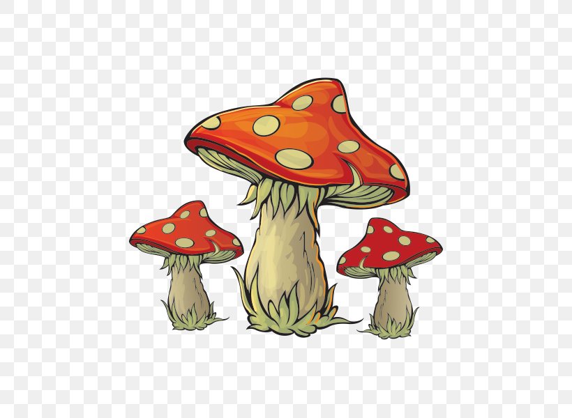 Mushroom Poisoning Amanita Muscaria Edible Mushroom, PNG, 600x600px, Mushroom, Amanita, Amanita Muscaria, Cartoon, Edible Mushroom Download Free