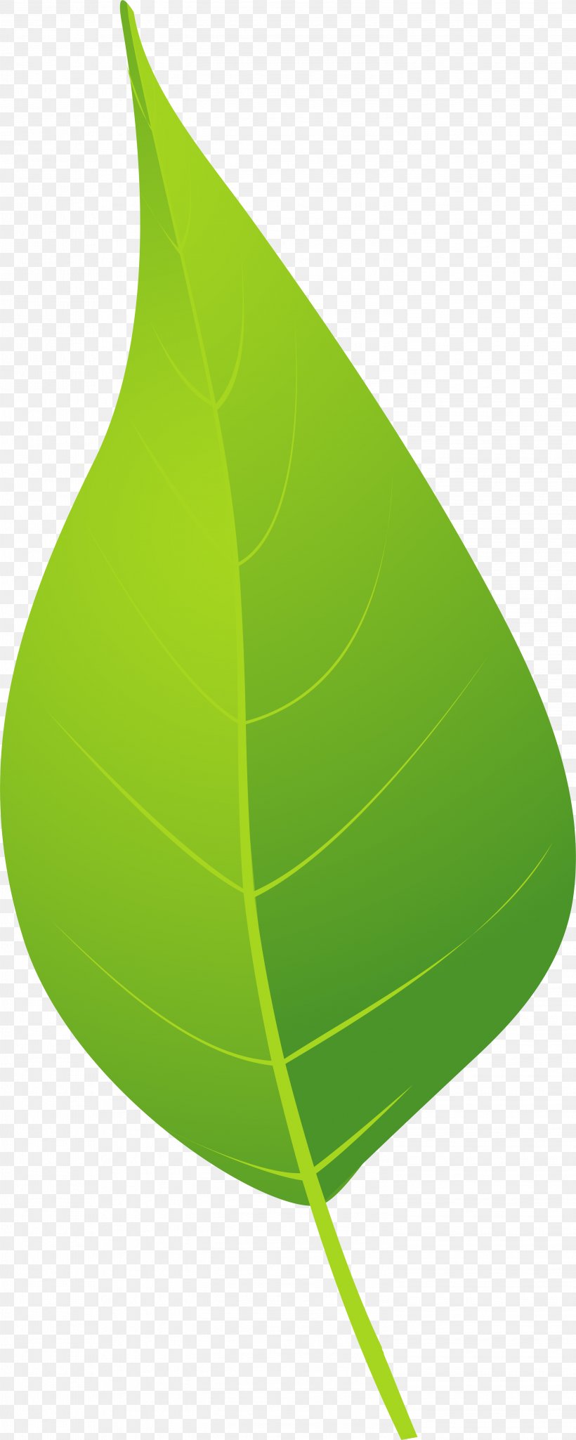 Google Images Green Brown, PNG, 3001x7503px, Google Images, Brown, Copyright, Green, Leaf Download Free