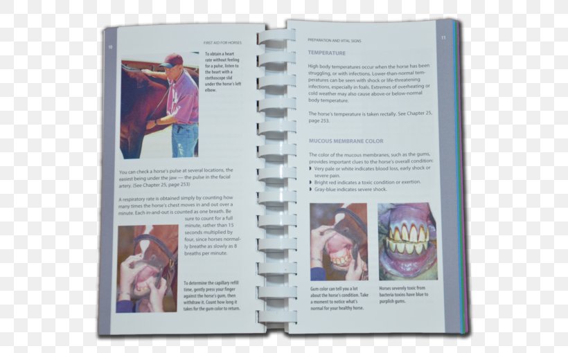 Horse Book EquiMedic USA First Aid Brochure, PNG, 600x510px, Horse, Book, Brochure, Equimedic Usa, First Aid Download Free
