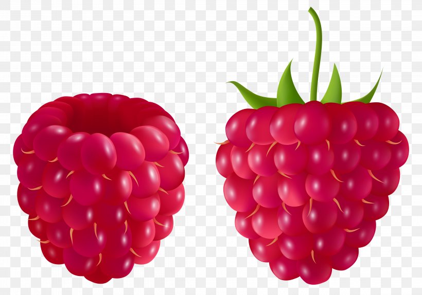 Raspberry Blackberry Clip Art, PNG, 4590x3218px, Raspberry, Accessory Fruit, Berry, Black Raspberry, Blackberry Download Free