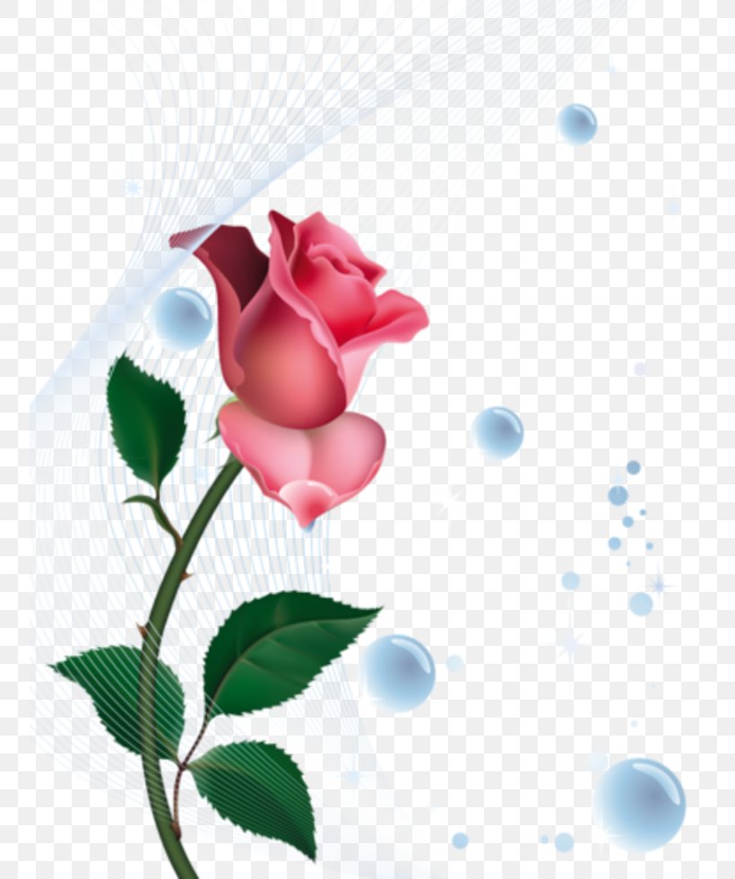 Rose Desktop Wallpaper Flower Clip Art, PNG, 753x980px, Rose, Blog, Blue Rose, Bud, Drawing Download Free