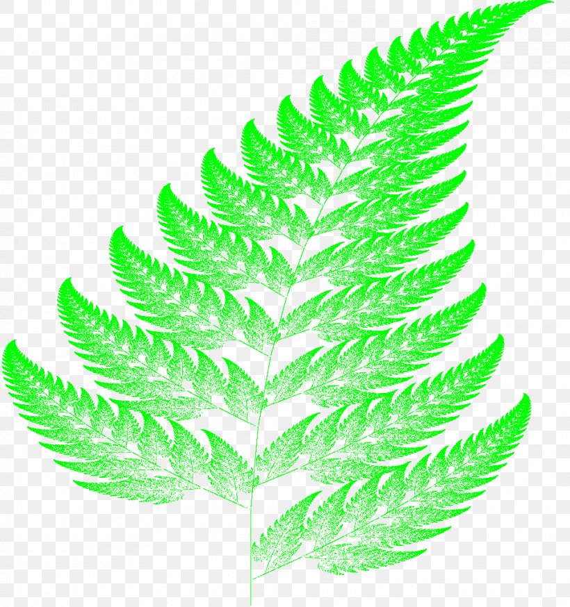 Barnsley Fern Fractal Leaf Vascular Plant, PNG, 960x1024px, Barnsley Fern, Chaos Theory, Eagle Fern, Fern, Ferns And Horsetails Download Free