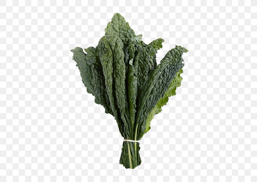 Lacinato Kale Collard Greens Spring Greens Rapini Broccoli, PNG, 580x580px, Lacinato Kale, Broccoli, Chard, Collard Greens, Herb Download Free