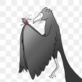 Bird - Flightless Bird Character Beak White PNG