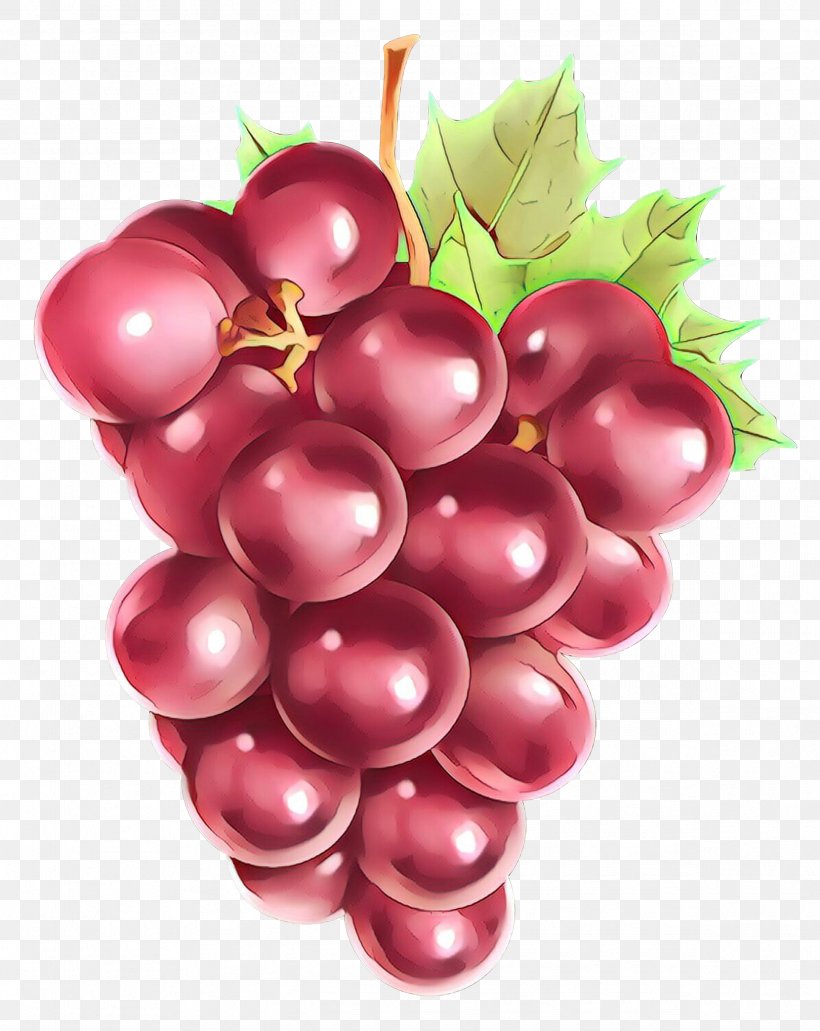 Grape Seedless Fruit Fruit Grapevine Family Natural Foods, PNG, 2386x3000px, Cartoon, Flowering Plant, Food, Fruit, Grape Download Free