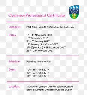 Professional Diploma - St. Vincent's University Hospital University College Dublin Michael Smurfit Graduate Business School Document PNG