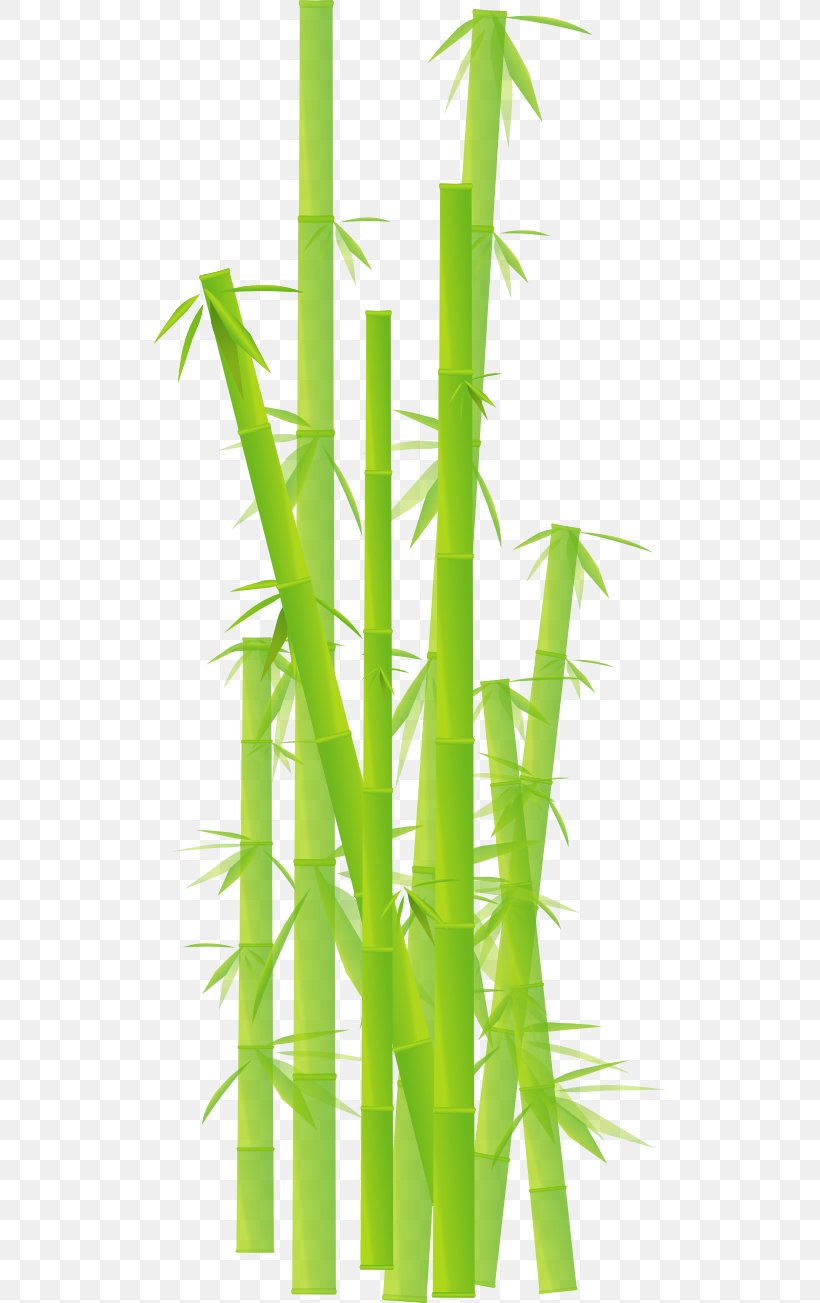 Bamboo Clip Art, PNG, 512x1303px, Bamboo, Drawing, Energy, Free Content, Grass Download Free