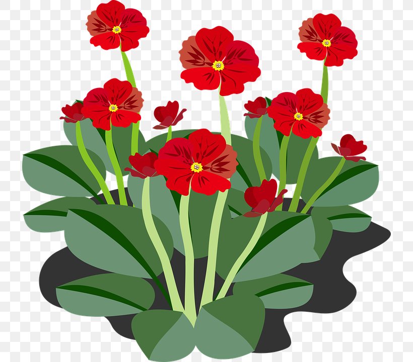 Download Clip Art, PNG, 732x720px, Public Domain, Annual Plant, Cut Flowers, Flower, Flowering Plant Download Free