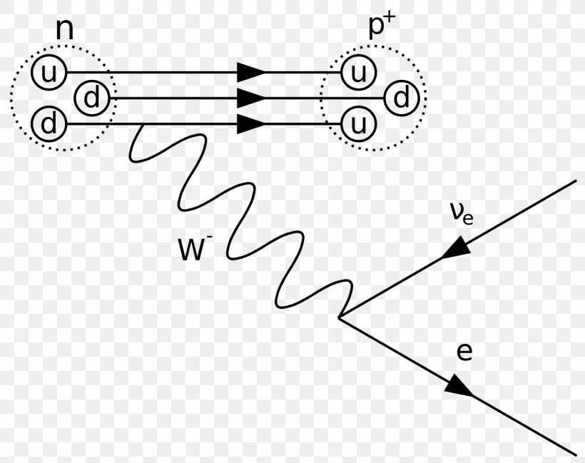 Feynman Diagram Beta Particle Beta Decay Positron Emission Quantum Mechanics, PNG, 1280x1014px, Watercolor, Cartoon, Flower, Frame, Heart Download Free