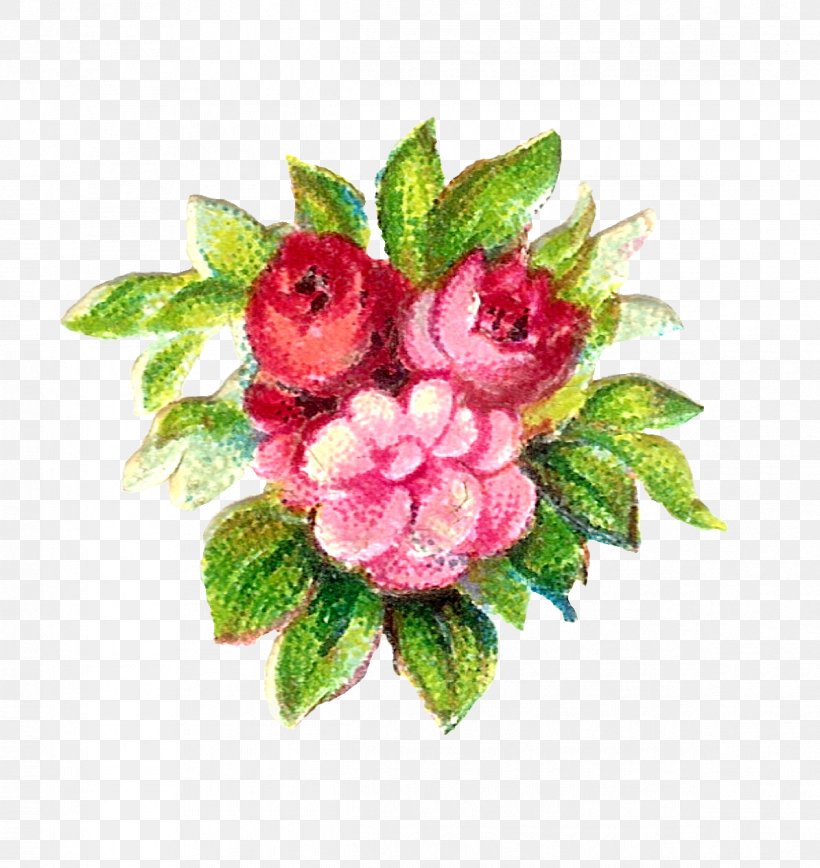 Flower Rose, PNG, 1195x1265px, Flower, Antique, Blue, Botanical Illustration, Cut Flowers Download Free