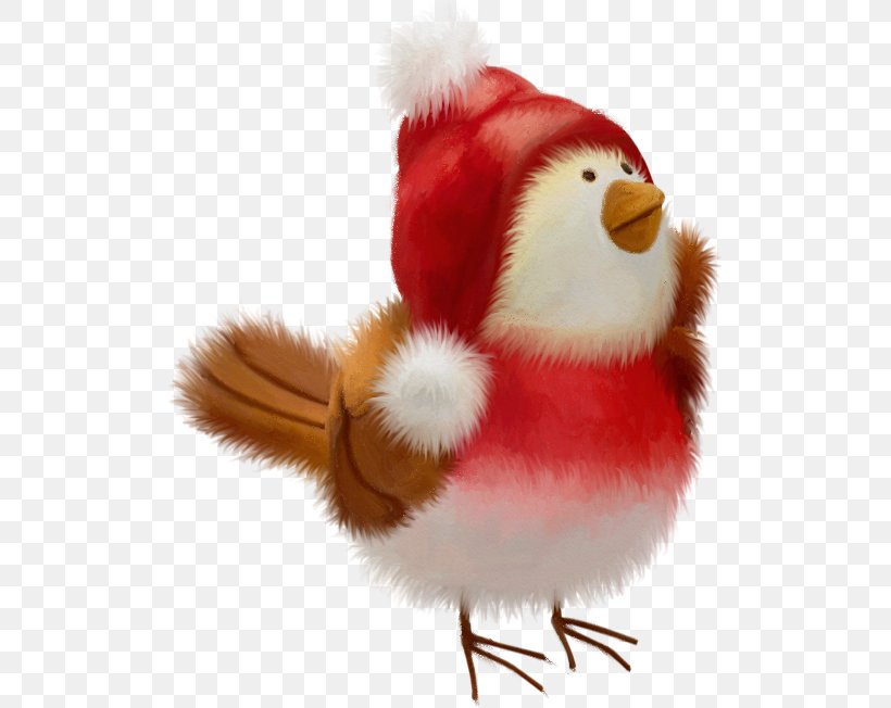 Bird Christmas, PNG, 510x652px, Bird, Beak, Christmas, Christmas Ornament, Gimp Download Free