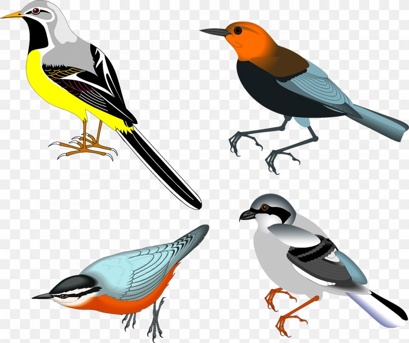 Bird Drawing Clip Art, PNG, 1300x1092px, Bird, Beak, Drawing, Fauna, Feather Download Free
