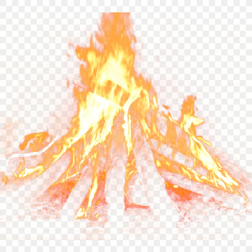 Chambal Garden Fire Flame, PNG, 1181x1181px, Chambal Garden, Bonfire, Combustion, Cool Flame, Digital Image Download Free