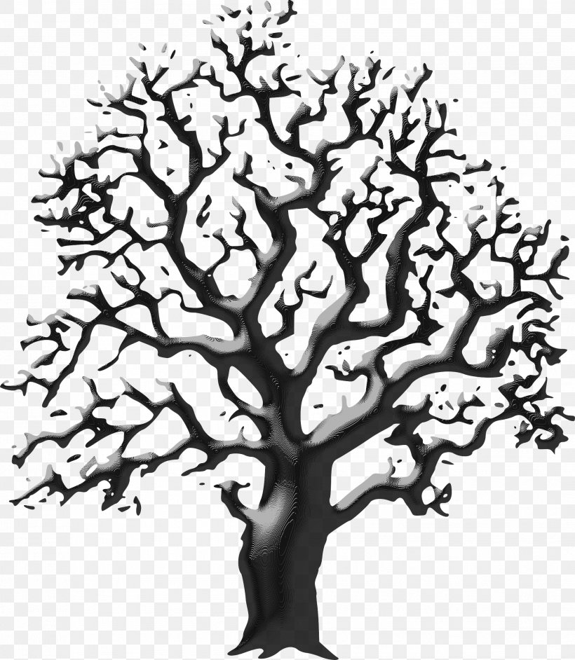 Line Art Drawing Clip Art Vector Graphics Tree, PNG, 2089x2400px, Line Art, Art, Botany, Branch, Drawing Download Free