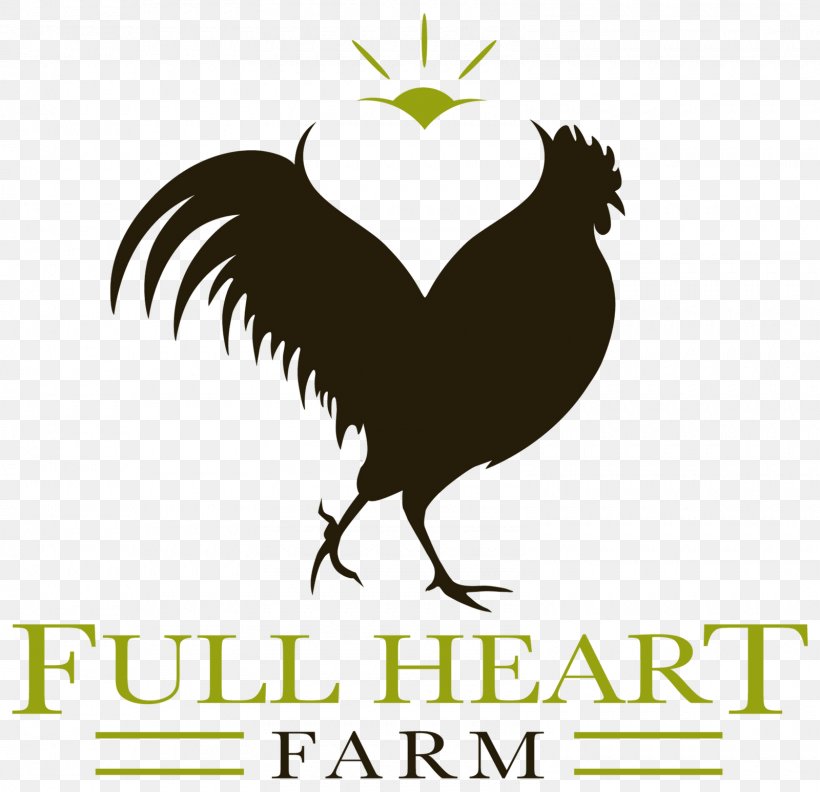 Poultry Farming Rooster Rhode Island Red Logo, PNG, 1600x1547px, Poultry Farming, Beak, Bird, Black And White, Chicken Download Free