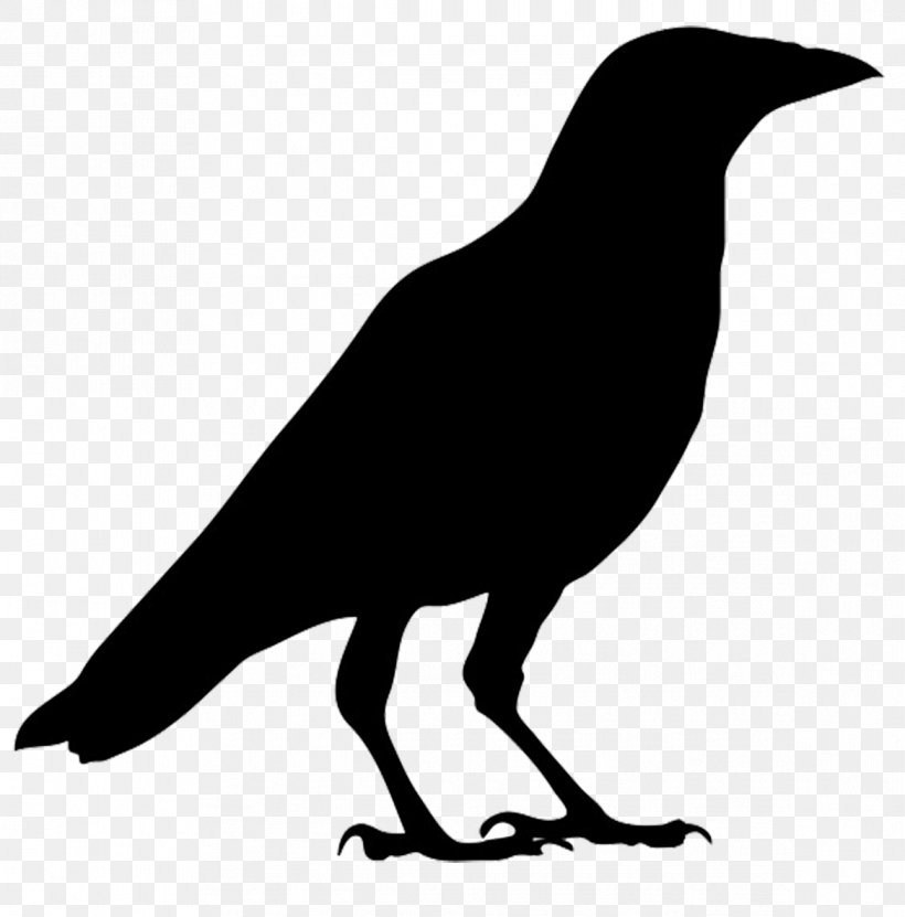 American Crow Common Raven Bird Carrion Crow Clip Art, PNG, 1169x1185px, American Crow, Art, Beak, Bird, Black And White Download Free