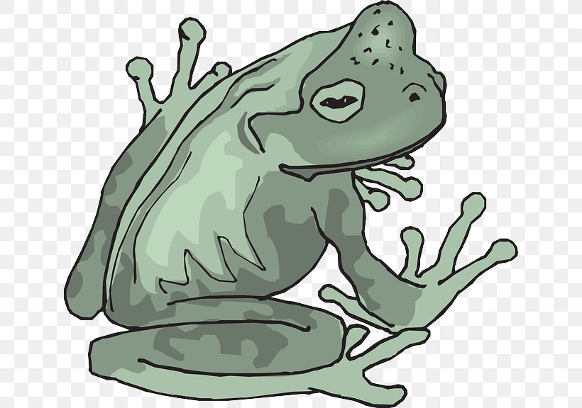Amphibian True Frog Tropics Clip Art, PNG, 640x576px, Amphibian, Art, Artwork, Cartoon, Fauna Download Free