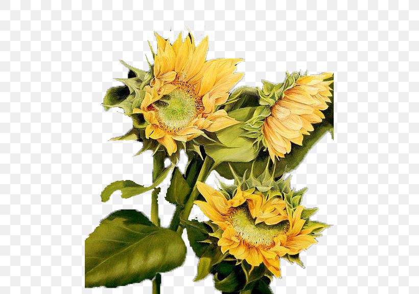 Common Sunflower Sunflowers Still Life Oil Painting, PNG, 487x575px, Common Sunflower, Art, Artificial Flower, Canvas, Cut Flowers Download Free