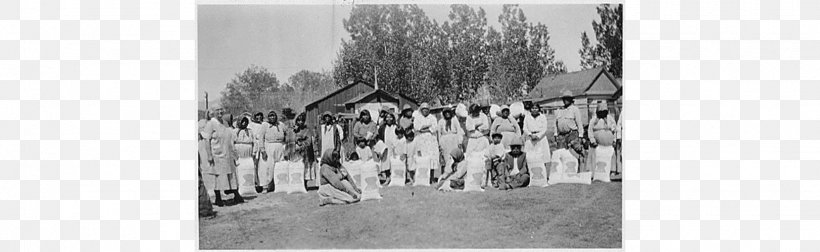 National Archives And Records Administration Native Americans In The United States Canton Indian Insane Asylum First World War Bureau Of Indian Affairs, PNG, 1623x500px, First World War, Artwork, Black And White, Bureau Of Indian Affairs, Choctaw Code Talkers Download Free
