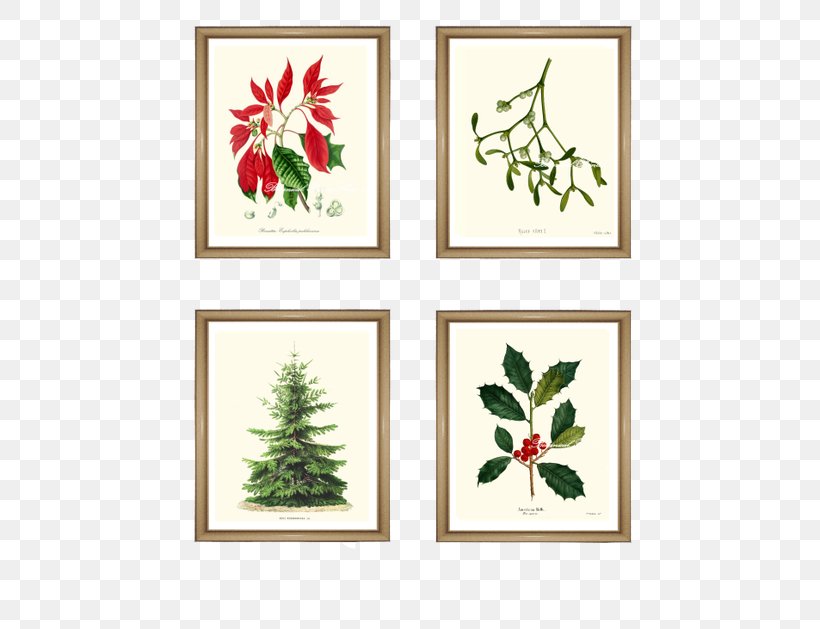 Art Flower Holly Floral Design Poinsettia, PNG, 500x629px, Art, Aquifoliaceae, Aquifoliales, Branch, Canvas Download Free