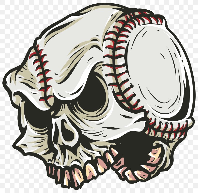 Baseball Bats Sport Calavera Skull, PNG, 800x800px, Baseball, Baseball Bats, Bone, Calavera, Head Download Free