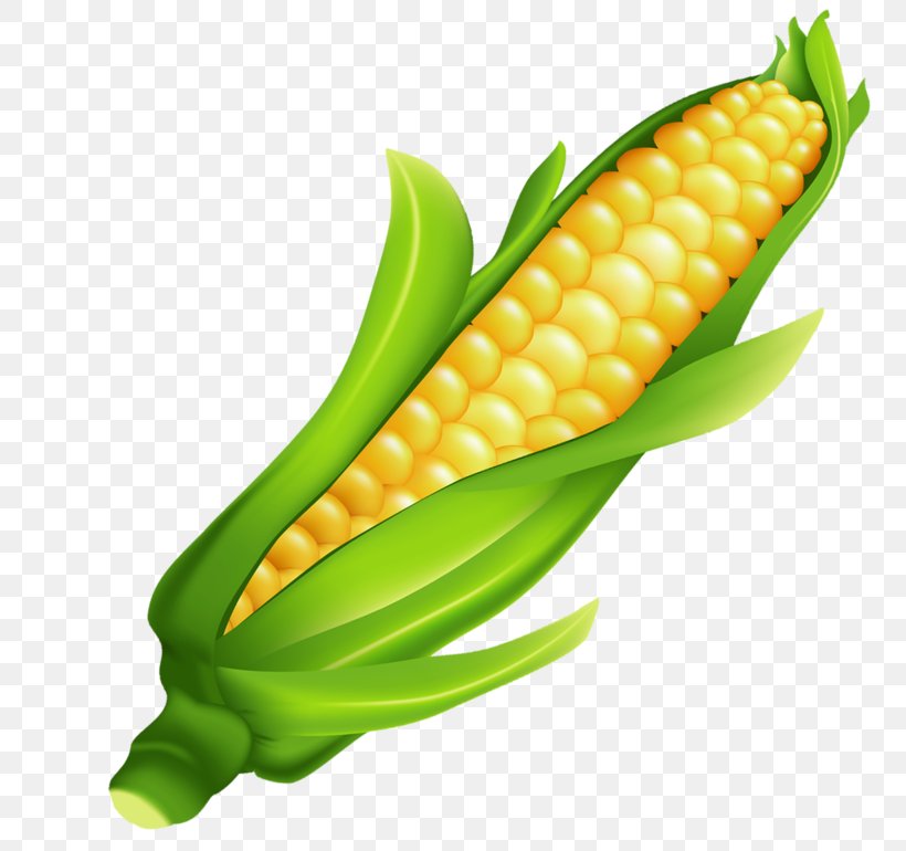 Corn On The Cob Fruit Clip Art, PNG, 800x770px, Corn On The Cob, Commodity, Computer, Corn Kernels, Drawing Download Free