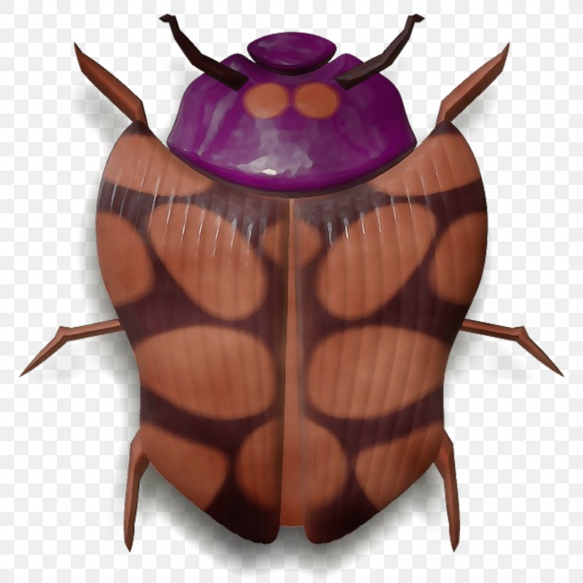 Insect Beetle, PNG, 1280x1280px, Watercolor, Beetle, Insect, Paint, Wet Ink Download Free