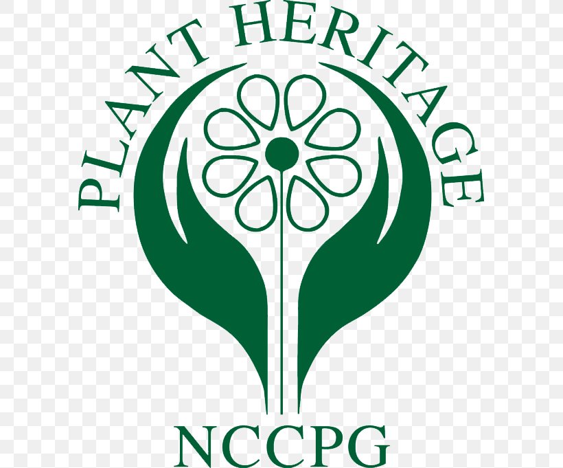 National Council For The Conservation Of Plants And Gardens NCCPG National Plant Collection Botany, PNG, 591x681px, Plants, Annual Plant, Area, Artwork, Black And White Download Free
