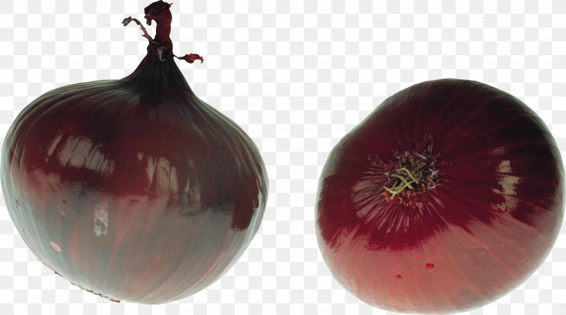 Onion Ring Piyaz Vegetable, PNG, 2940x1642px, Onion, Allium, Allium Canadense, Allium Fistulosum, Bulb Download Free