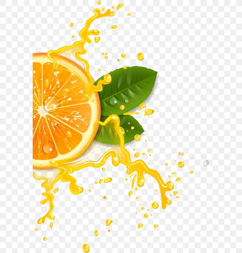 Orange Juice Cocktail Lemonade, PNG, 598x856px, Orange Juice, Citric Acid, Citrus, Cocktail, Drink Download Free