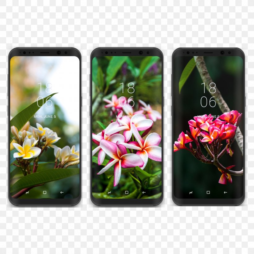 Samsung Galaxy S8+ Desktop Wallpaper, PNG, 1000x1000px, Samsung Galaxy S8, Electronic Device, Flora, Flower, Gadget Download Free