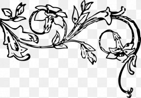 Boarders - Flower Free Content Clip Art PNG