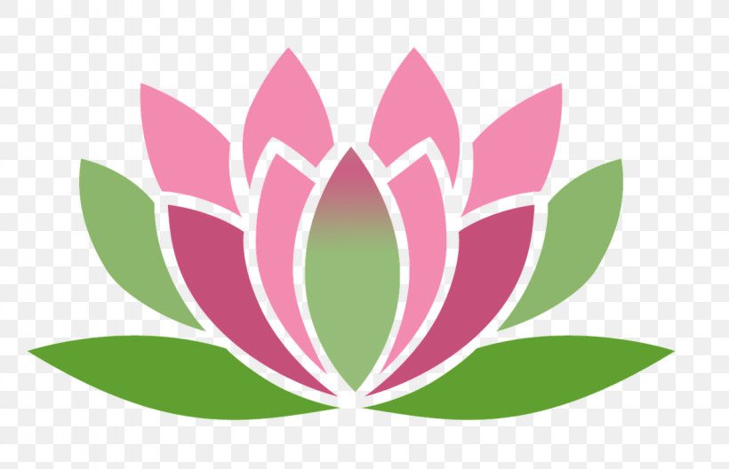 Nelumbo Nucifera Silhouette Lotus Position Clip Art, PNG, 1280x825px, Nelumbo Nucifera, Drawing, Flower, Flowering Plant, Green Download Free