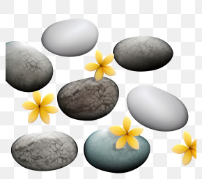 Stones - Cracked Stones With Flowers PNG