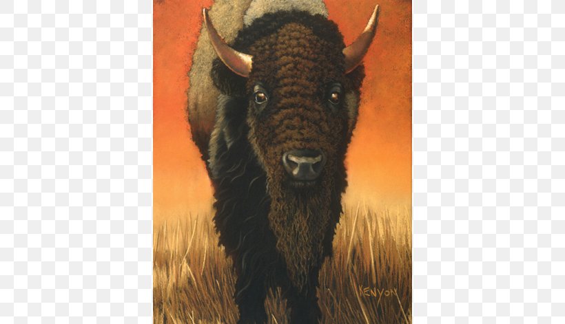 Bison Pastel Pakistani Dramas Art, PNG, 550x471px, Bison, Animal, Art, Art Museum, Bull Download Free