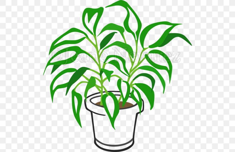 Clip Art Flowerpot Plant Stem Leaf Line, PNG, 520x530px, Flowerpot, Artwork, Branch, Branching, Grass Download Free