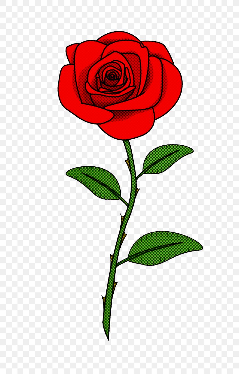 Garden Roses, PNG, 720x1279px, Flower, Floribunda, Flowering Plant, Garden Roses, Petal Download Free