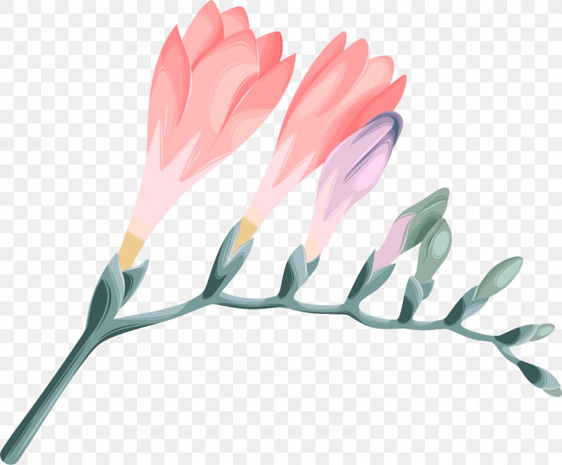 Design Petal Vector Graphics Download, PNG, 1467x1213px, Petal, Botany, Darts, Flower, Flowering Plant Download Free