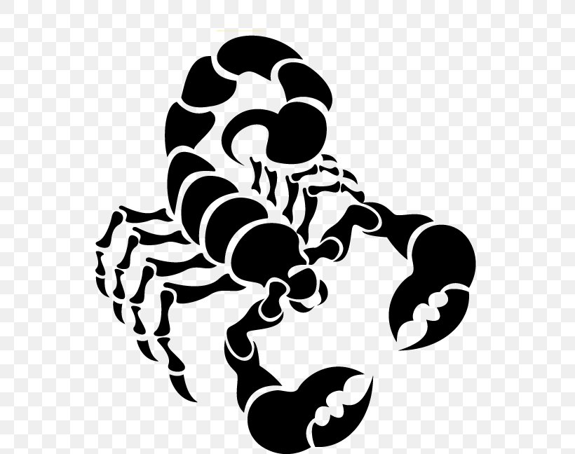 Scorpion Euclidean Vector Clip Art, PNG, 601x648px, Scorpion, Black And White, Can Stock Photo, Invertebrate, Monochrome Download Free