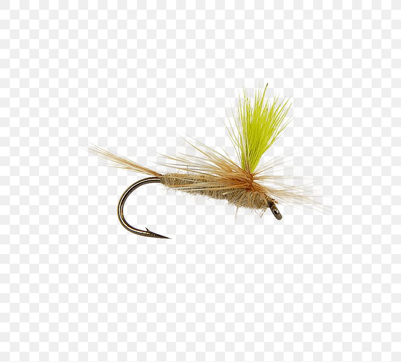 Insect Artificial Fly, PNG, 555x741px, Insect, Artificial Fly, Fishing Bait, Fly, Invertebrate Download Free