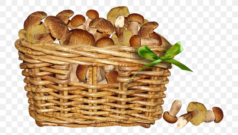 Mushroom Fungus Penny Bun Image, PNG, 800x467px, Mushroom, Basket, Blog, Boletus, Fungus Download Free