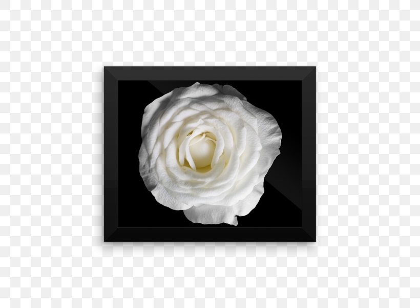 Photography Poster Image Black And White Rose, PNG, 600x600px, Photography, Black And White, Canvas Print, Drawing, Flower Download Free