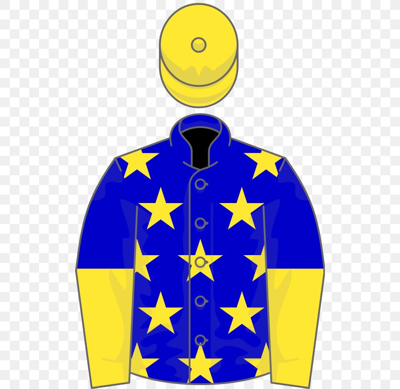 T-shirt Sleeve Horse Clothing, PNG, 512x799px, Tshirt, Clothing, Electric Blue, Horse, Horse Racing Download Free