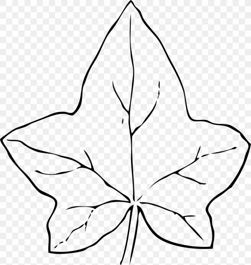 Common Ivy Leaf Drawing Clip Art, PNG, 830x876px, Common Ivy, Area, Artwork, Black And White, Drawing Download Free