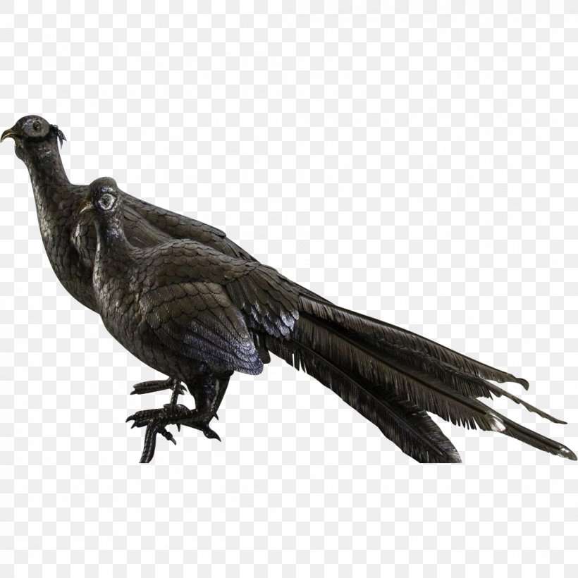 Feather Fauna Beak Galliformes Vulture, PNG, 1052x1052px, Feather, Beak, Bird, Cuckoos, Cuculiformes Download Free
